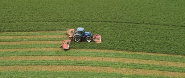 INAIL - Pubblicato il bando ISI Agricoltura 2019-2020